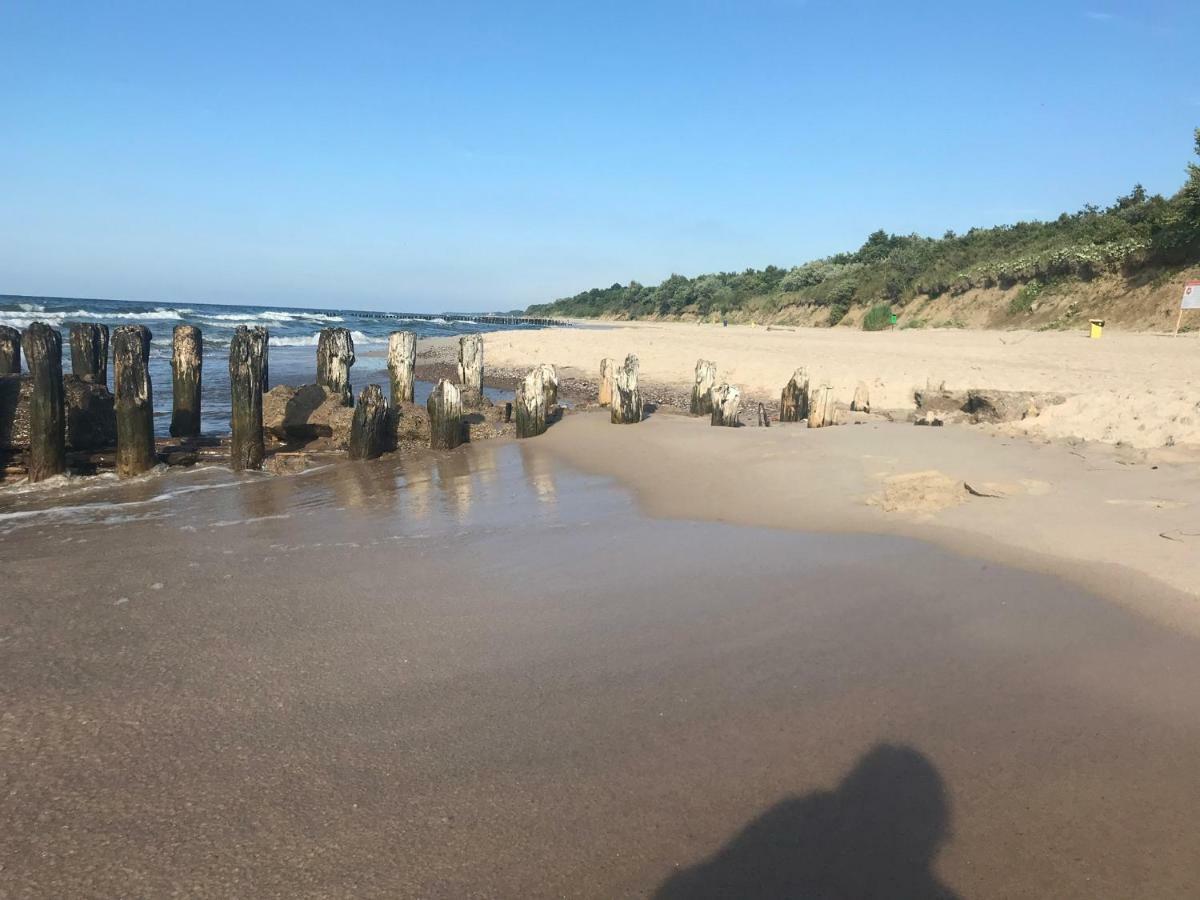 Holenderski Feniks Kołobrzeg